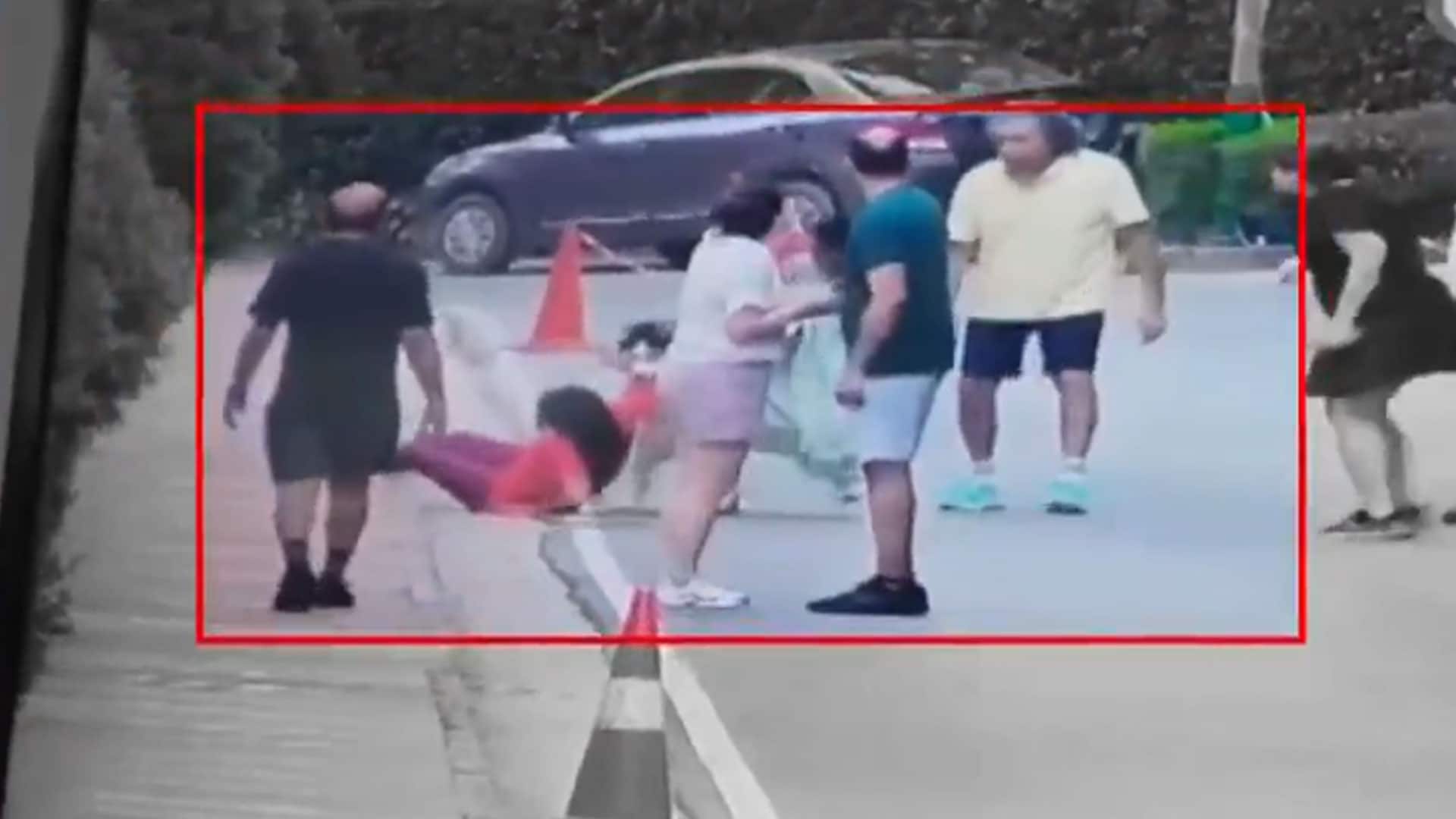 On Camera, Pet Husky's Sudden Attack On Woman At Posh Gurugram Complex