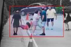 On Camera, Pet Husky's Sudden Attack On Woman At Posh Gurugram Complex On Camera, Pet Husky's Sudden Attack On Woman At Posh Gurugram Complex