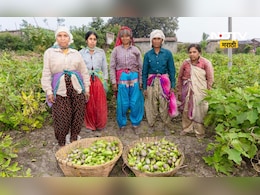 Umed Mall: महिला बचत गटाचे उत्पादन आता थेट मॉलमध्ये, 10  जिल्ह्यांमध्ये ‘उमेद मॉल’ Umed Mall: महिला बचत गटाचे उत्पादन आता थेट मॉलमध्ये, 10  जिल्ह्यांमध्ये ‘उमेद मॉल’
