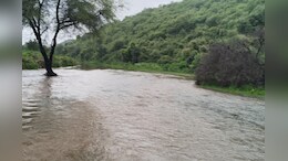 Rajasthan: सिस्टम की लापरवाही का शिकार हुआ यह गांव, चारों ओर पानी के बीच जिंदगी-मौत की जंग लड़ रहे ग्रामीण