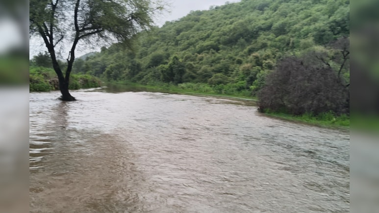 Rajasthan: सिस्टम की लापरवाही का शिकार हुआ यह गांव, चारों ओर पानी के बीच जिंदगी-मौत की जंग लड़ रहे ग्रामीण Rajasthan: सिस्टम की लापरवाही का शिकार हुआ यह गांव, चारों ओर पानी के बीच जिंदगी-मौत की जंग लड़ रहे ग्रामीण
