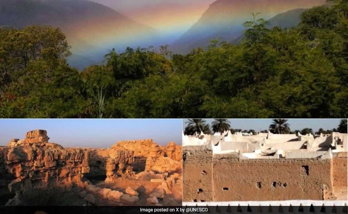 Ню Делхи The World Heritage Committee has removed three African