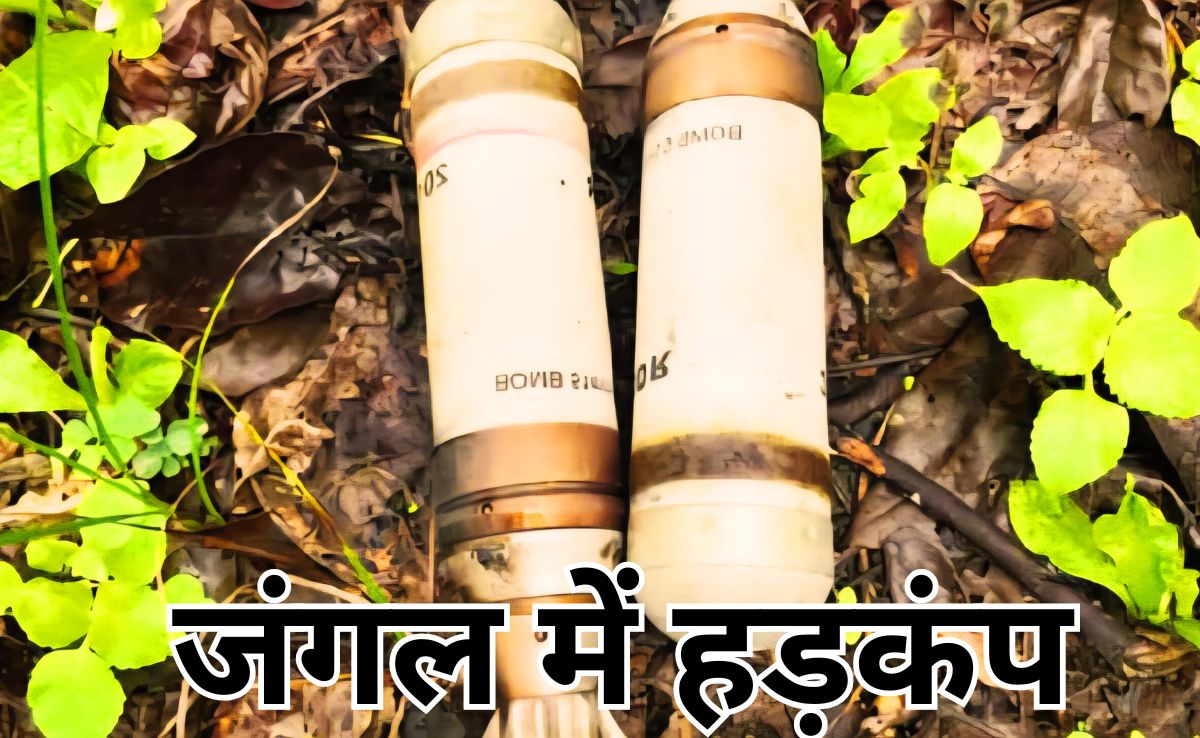Bomb Threat: पहाड़ी पर बम जैसी 3 वस्तुएं मिलने से हड़कंप, विस्फोटक पर लिखा है 51 एमएम बम 2012