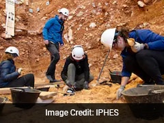 Ancient Humans Ate Children 850,000 Years Ago, New Discovery Reveals