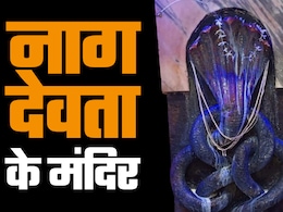 नाग पंचमी पर किन मंदिरों में होती है नाग देवता की पूजा, जानें उनसे जुड़ी मान्यताएं और पौराणिक इतिहास नाग पंचमी पर किन मंदिरों में होती है नाग देवता की पूजा, जानें उनसे जुड़ी मान्यताएं और पौराणिक इतिहास