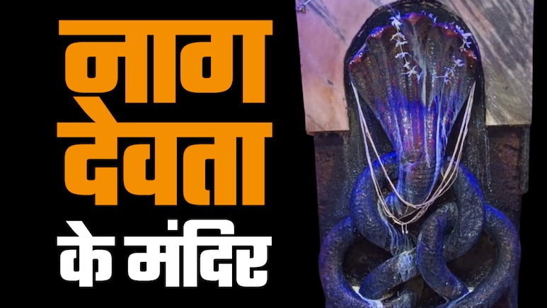 नाग पंचमी पर किन मंदिरों में होती है नाग देवता की पूजा, जानें उनसे जुड़ी मान्यताएं और पौराणिक इतिहास नाग पंचमी पर किन मंदिरों में होती है नाग देवता की पूजा, जानें उनसे जुड़ी मान्यताएं और पौराणिक इतिहास