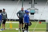 'You Saw What He Was...': Oval Curator Makes Feelings Clear On Gambhir