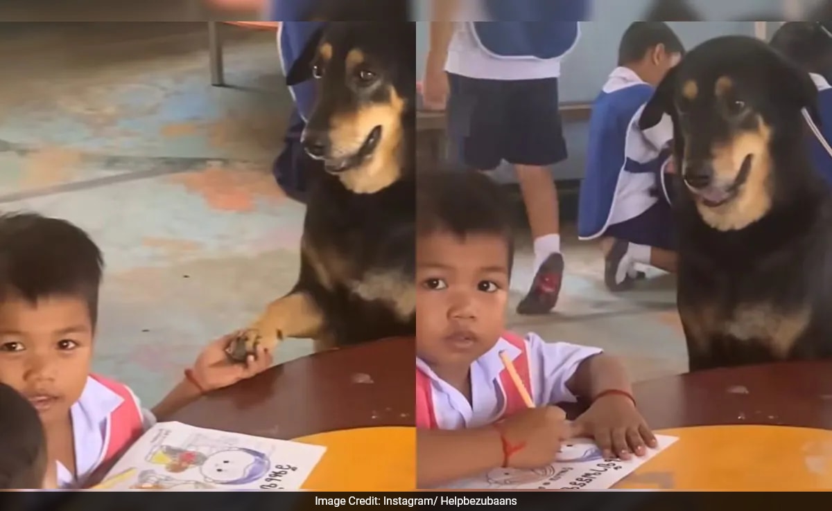 сърцераздирателно видео показващо куче което седи до ученическо дете и
