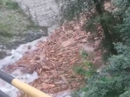 Video: In <i>'Pushpa'</i>-Esque Scene, Lakhs Of Logs Float Downstream In Himachal Pradesh Video: In <i>'Pushpa'</i>-Esque Scene, Lakhs Of Logs Float Downstream In Himachal Pradesh