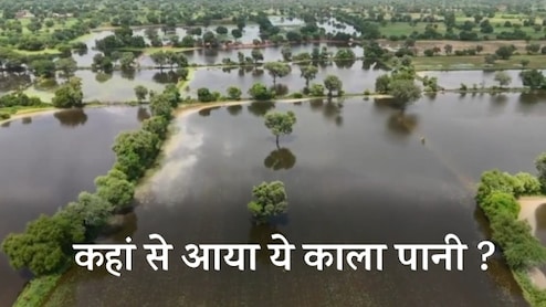 Rajasthan: काले और ज़हरीले पानी में डूबा बालोतरा का अराबा पुरोहितान, गांव वालों को खाली करने का आदेश 