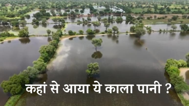 Rajasthan: काले और ज़हरीले पानी में डूबा बालोतरा का अराबा पुरोहितान, गांव वालों को खाली करने का आदेश Rajasthan: काले और ज़हरीले पानी में डूबा बालोतरा का अराबा पुरोहितान, गांव वालों को खाली करने का आदेश