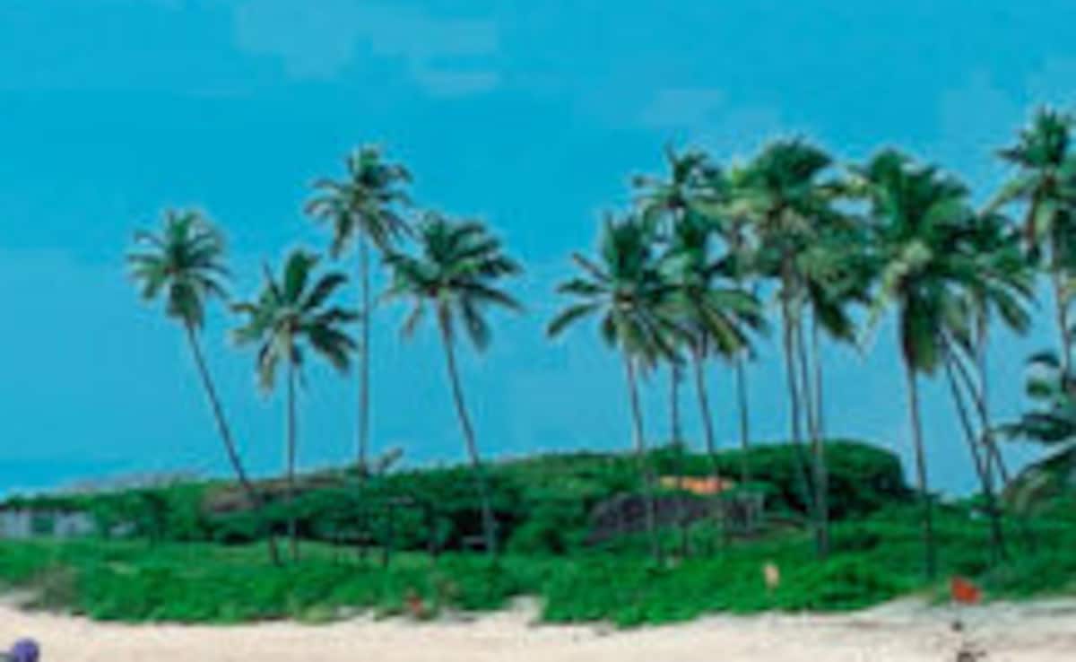 Latest and Breaking News on NDTV Latest and Breaking News on NDTV