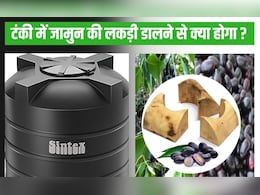 क्या जामुन की लकड़ी पानी की टंकी के लिए अच्छी है? एक्‍सपर्ट से जान‍िए सेहत ल‍िए क्‍यों है जरूरी