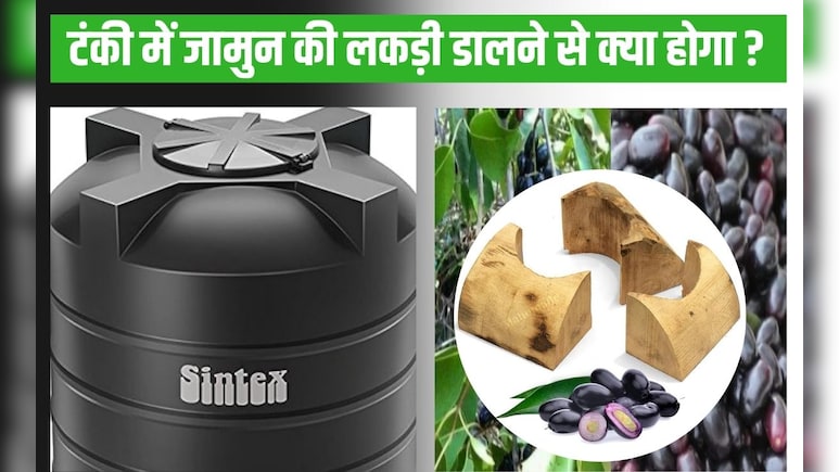 क्या जामुन की लकड़ी पानी की टंकी के लिए अच्छी है? एक्‍सपर्ट से जान‍िए सेहत ल‍िए क्‍यों है जरूरी