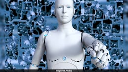 Humans In Demand To Clean Up AI's Mess Amid Job Loss Fears