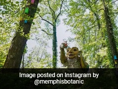 Giant Trolls Built From Trash Want To Save Humans From Themselves