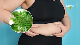 Belly Fat Loss Tips: पोटाची चरबी 1 महिन्यात इवल्याशा गोष्टीमुळे होईल कमी, फक्त 5 पानांमुळे शरीरात घडेल मोठा बदल