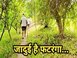 मानसून में किसानों का हितैषी अनोखा यंत्र, जमीन पर पटकते ही कोसों दूर भागता है बड़े से बड़ा सांप! मानसून में किसानों का हितैषी अनोखा यंत्र, जमीन पर पटकते ही कोसों दूर भागता है बड़े से बड़ा सांप!