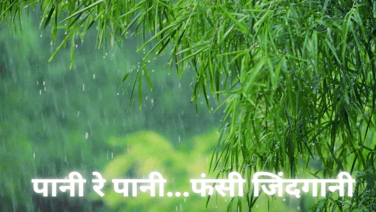 Rain Alert Forecast: एमपी में आज 12 जिलों में है भारी बारिश का अलर्ट, इन जिलों में होगी हल्की बारिश Rain Alert Forecast: एमपी में आज 12 जिलों में है भारी बारिश का अलर्ट, इन जिलों में होगी हल्की बारिश