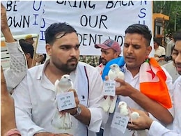 कबूतर के पैरों में चिट्ठी बांधकर सरकार को भेजी, छात्रसंघ चुनाव को लेकर NSUI का अनोखा प्रदर्शन कबूतर के पैरों में चिट्ठी बांधकर सरकार को भेजी, छात्रसंघ चुनाव को लेकर NSUI का अनोखा प्रदर्शन