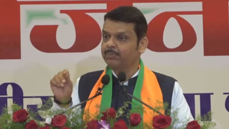 Devendra Fadnavis: '160 जागा जिंकण्याची हमी', शरद पवारांच्या दाव्यावर फडणवीसांचे उत्तर, म्हणाले...