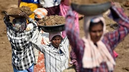 Rajasthan: बदल गया मनरेगा के काम का समय, कलेक्टर ने दिए आदेश; भारी बारिश की वजह से लिया फैसला&nbsp;