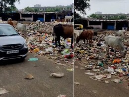 मोस्ट गार्बेज फ्रेंडली सिटी इन इंडिया...पूर्व सैनिक ने गुड़गांव को दी सबसे गंदे शहर की उपाधि - देखें Video