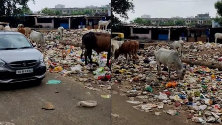 मोस्ट गार्बेज फ्रेंडली सिटी इन इंडिया...पूर्व सैनिक ने गुड़गांव को दी सबसे गंदे शहर की उपाधि - देखें Video