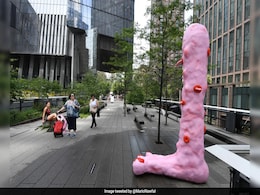 Video: Bizarre 10-Foot-Tall Pink "Foot Fountain" That Sprays Water Pops Up In New York Video: Bizarre 10-Foot-Tall Pink "Foot Fountain" That Sprays Water Pops Up In New York