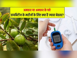 अमरूद या अमरूद के पत्ते, डायबिटीज के मरीजों के लिए क्या है ज्यादा बेहतर? डॉक्टर ने बताया किसे खाने से जल्दी कंट्रोल होगा Blood Sugar Level