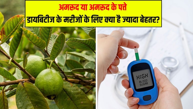 अमरूद या अमरूद के पत्ते, डायबिटीज के मरीजों के लिए क्या है ज्यादा बेहतर? डॉक्टर ने बताया किसे खाने से जल्दी कंट्रोल होगा Blood Sugar Level अमरूद या अमरूद के पत्ते, डायबिटीज के मरीजों के लिए क्या है ज्यादा बेहतर? डॉक्टर ने बताया किसे खाने से जल्दी कंट्रोल होगा Blood Sugar Level