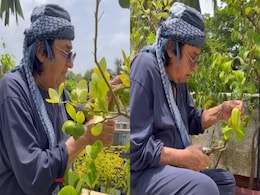 Watch: Ranjeet Plucks Lemons, Star Fruits From Home Garden For Chutney Preparation Watch: Ranjeet Plucks Lemons, Star Fruits From Home Garden For Chutney Preparation