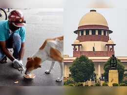 आप उन्हें घर में खाना क्यों नहीं खिलाते... नोएडा में आवारा कुत्तों को खाना खिलाने पर सुप्रीम कोर्ट आप उन्हें घर में खाना क्यों नहीं खिलाते... नोएडा में आवारा कुत्तों को खाना खिलाने पर सुप्रीम कोर्ट
