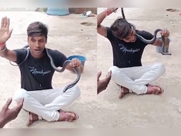 UP: नाग पंचमी पर रील बनाने के चक्कर में युवक को सांप ने डसा, अस्पताल में भर्ती UP: नाग पंचमी पर रील बनाने के चक्कर में युवक को सांप ने डसा, अस्पताल में भर्ती