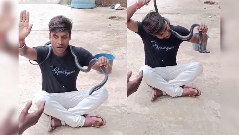 UP: नाग पंचमी पर रील बनाने के चक्कर में युवक को सांप ने डसा, अस्पताल में भर्ती UP: नाग पंचमी पर रील बनाने के चक्कर में युवक को सांप ने डसा, अस्पताल में भर्ती