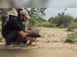 Rajasthan: वैज्ञानिकों ने गिद्धों में ट्रांसमीटर फिट करके छोड़ा, बड़ी वजह आई सामने Rajasthan: वैज्ञानिकों ने गिद्धों में ट्रांसमीटर फिट करके छोड़ा, बड़ी वजह आई सामने