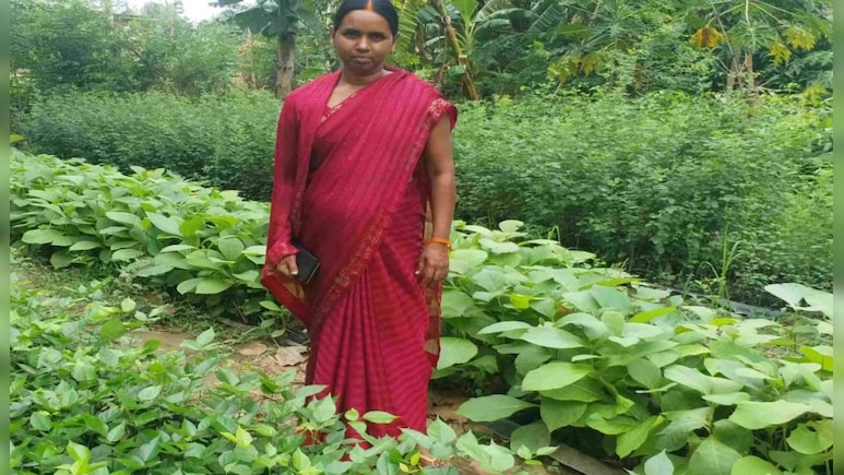 Success Story: मजदूर पति कमाने में हुआ असमर्थ तो पत्नी ने उठा ली घर की जिम्मेदारी, पौधे बेचकर कमा रही लाखों रु
