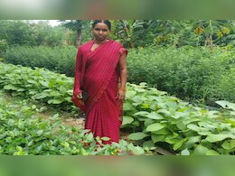 Success Story: मजदूर पति कमाने में हुआ असमर्थ तो पत्नी ने उठा ली घर की जिम्मेदारी, पौधे बेचकर कमा रही लाखों रु Success Story: मजदूर पति कमाने में हुआ असमर्थ तो पत्नी ने उठा ली घर की जिम्मेदारी, पौधे बेचकर कमा रही लाखों रु