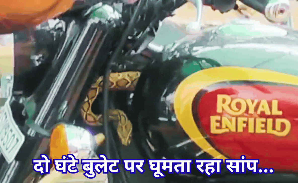 Snake In Bullet: बुलेट में कुंडली मारकर बैठा था अत्यंत जहरीला सांप &lsquo;रसेल वाइपर! देख मैकेनिक के उड़े होश&nbsp;