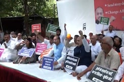 Ex-Union Minister Protests Against Feeding Stray Dog On Streets In Delhi Ex-Union Minister Protests Against Feeding Stray Dog On Streets In Delhi