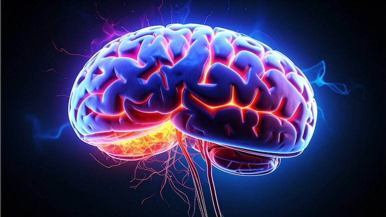 Human Brain Literally Emits Light Through Your Skull, Study Finds