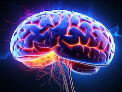 Microplastics In Mind: Scientists Discover Plastic Particles In Human Brains