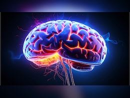 दिमाग पर पड़ेगा अच्छा असर, बस फ्लो करें ये टिप्स दिमाग पर पड़ेगा अच्छा असर, बस फ्लो करें ये टिप्स