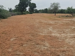 Ground Report: लूणी नदी में प्रदूषण से खेती चौपट, मंत्री जोगाराम पटेल के पैतृक गांव में किसान परेशान Ground Report: लूणी नदी में प्रदूषण से खेती चौपट, मंत्री जोगाराम पटेल के पैतृक गांव में किसान परेशान