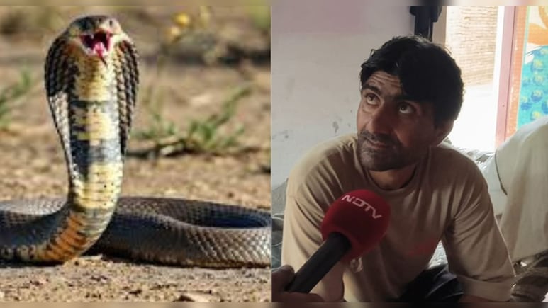Snake: सांप ले रहा बदला! युवक को सात बार डसा; तीन सांपों को मार द‍िया था