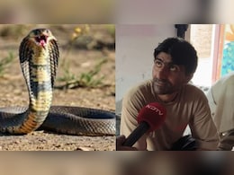 Snake: सांप ले रहा बदला! युवक को सात बार डसा; तीन सांपों को मार दिया था Snake: सांप ले रहा बदला! युवक को सात बार डसा; तीन सांपों को मार दिया था