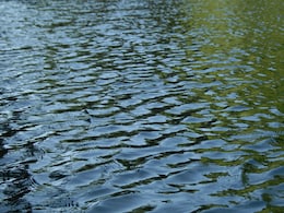 Chhattisgarh: डबरी तालाब में डूबने से 4 बच्चों की मौत, परिवार में छाया मातम, स्कूल में छुट्टी होने के बाद गए थे नहाने