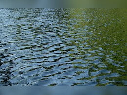 बिहरा: करमा पर्व के दौरान बड़ा हादसा, तलाब में डूबने से दो सगी बहनों समेत 4 महिलाओं की मौत बिहरा: करमा पर्व के दौरान बड़ा हादसा, तलाब में डूबने से दो सगी बहनों समेत 4 महिलाओं की मौत