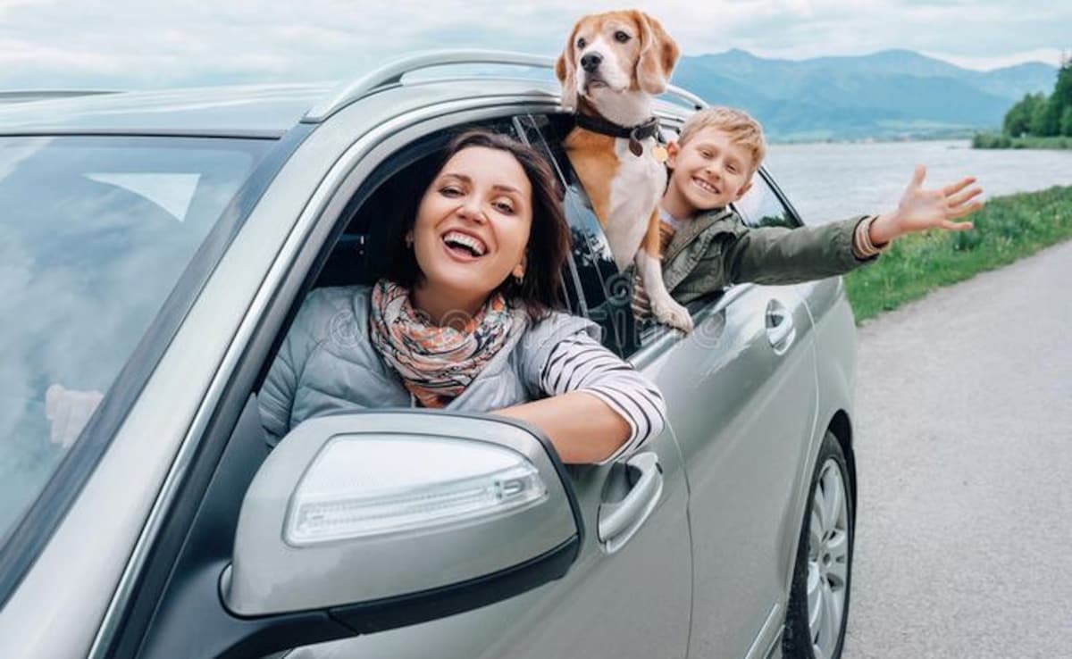 Carry These Road Trip Essentials And Make Your Trip Comfortable Without Any Rush.