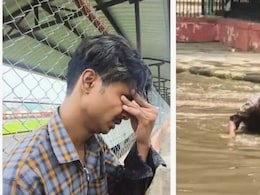 'मेरा आईफोन गया, किसी की जान भी जा सकती थी', सिस्टम पर सवाल खड़ा करता जयपुर के युवक का ये वीडियो 'मेरा आईफोन गया, किसी की जान भी जा सकती थी', सिस्टम पर सवाल खड़ा करता जयपुर के युवक का ये वीडियो